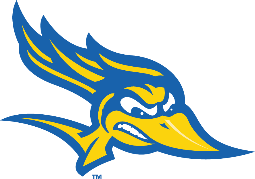 CSU Bakersfield Roadrunners 2006-Pres Alternate Logo v3 diy iron on heat transfer